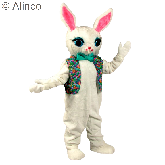 cotton bunny
