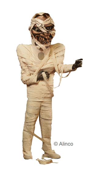 mummy mascot costume