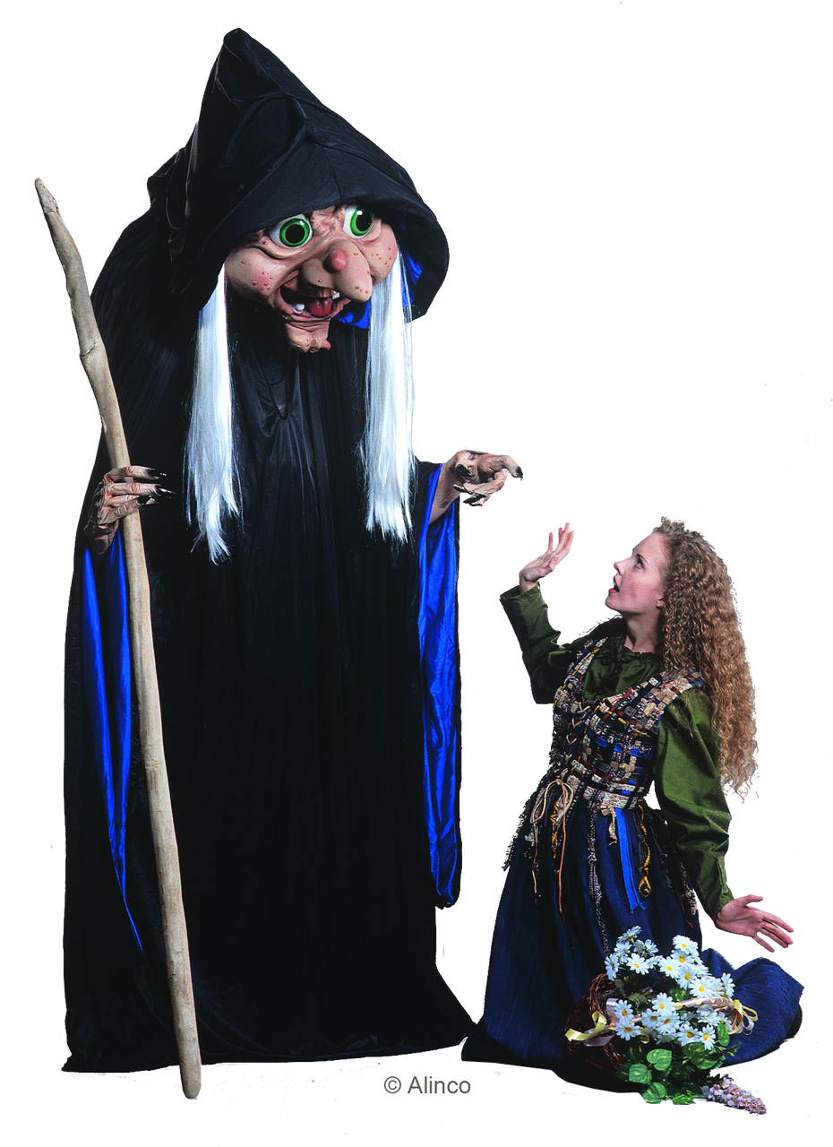 rosey witch mascot costume