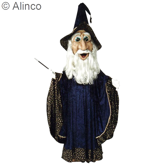 wizard mascot costume