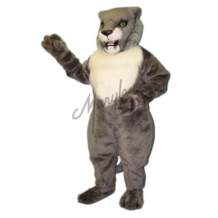 Wildcat