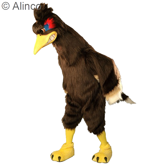 vrooom roadrunner mascot