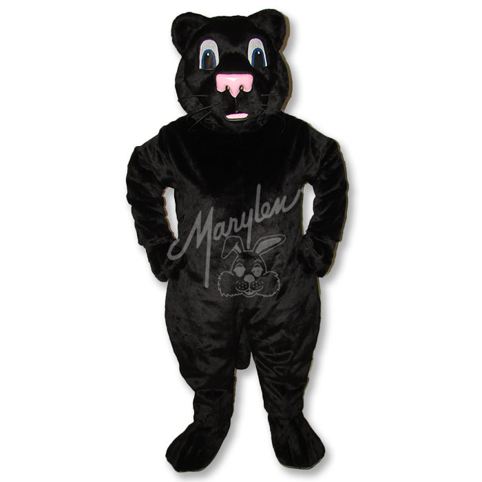 Black Cat