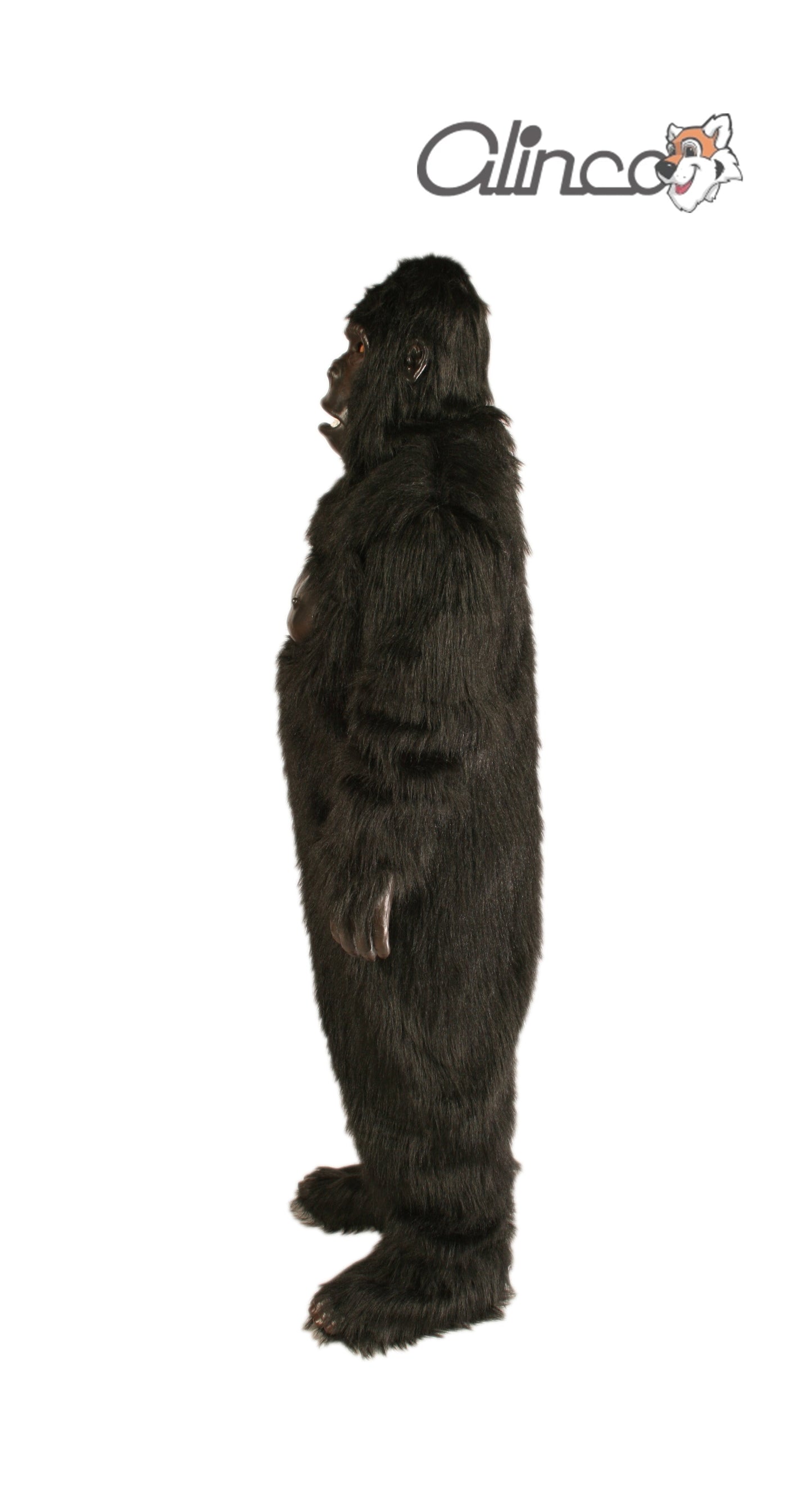 Economy Gorilla - ECON