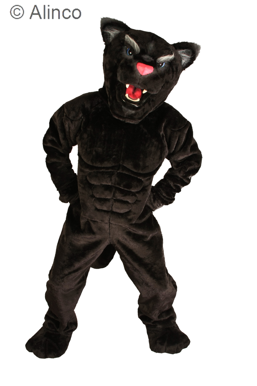 power cat panther mascot costume