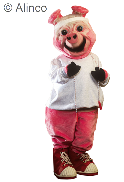 ollie oink pig mascot costume
