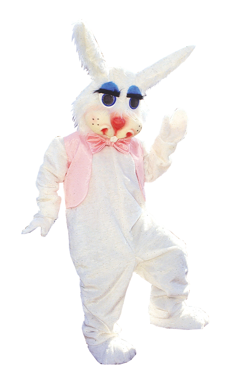 peter rabbit mascot costume