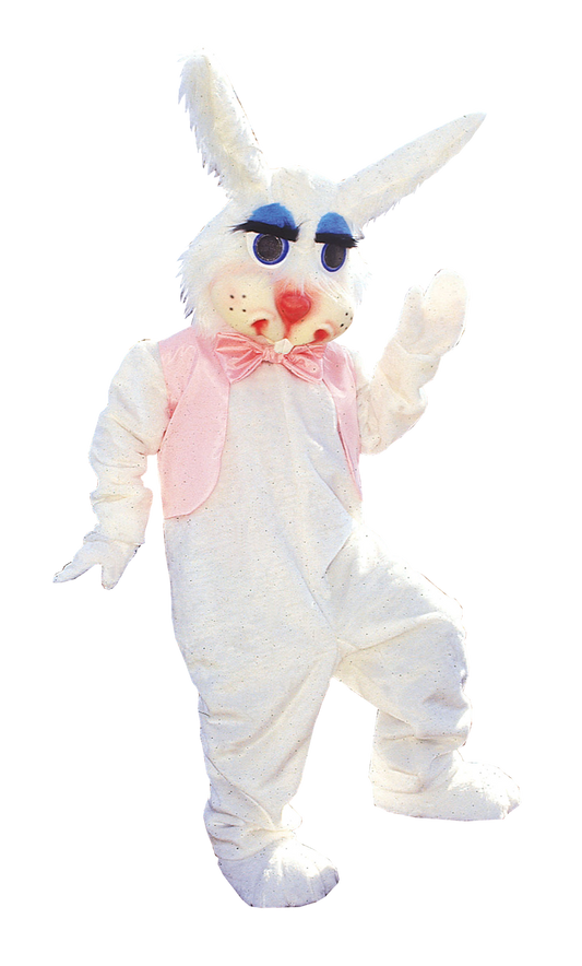 peter rabbit mascot costume