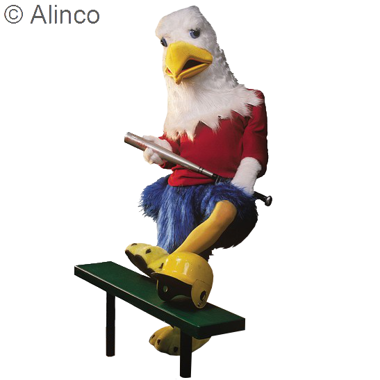 eagle mascot costume