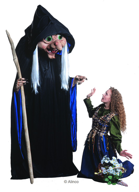 rosey witch mascot costume
