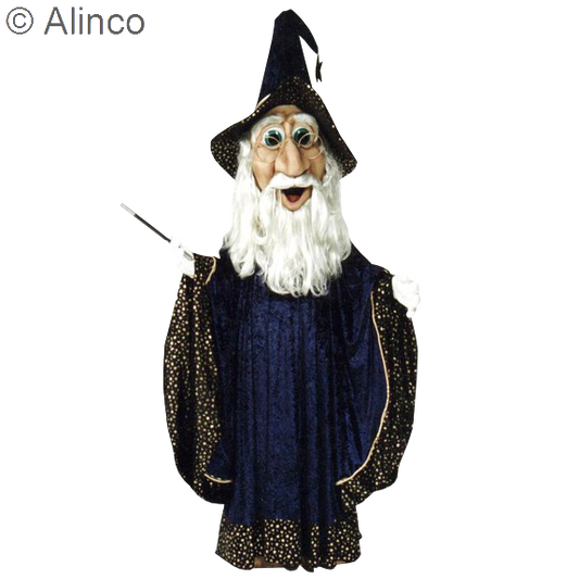 wizard mascot costume