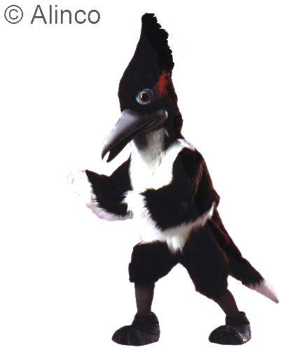 roadrunner mascot costume
