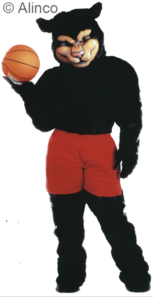 proline panther mascot costume