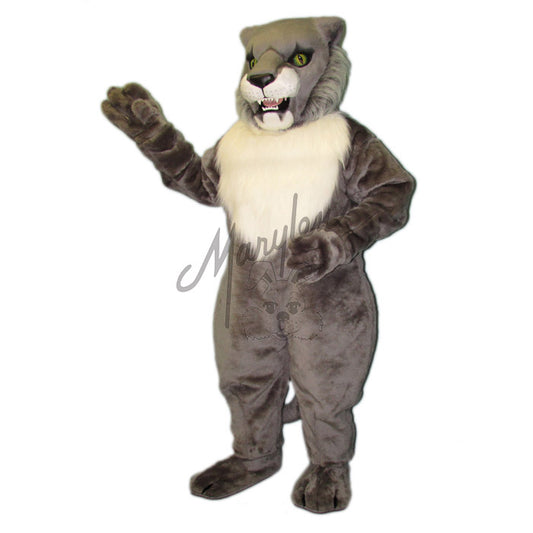 Wildcat