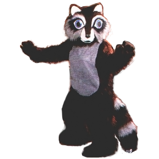 raccoon mascot costume