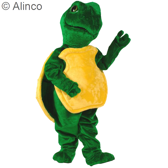 turtle mascot costume