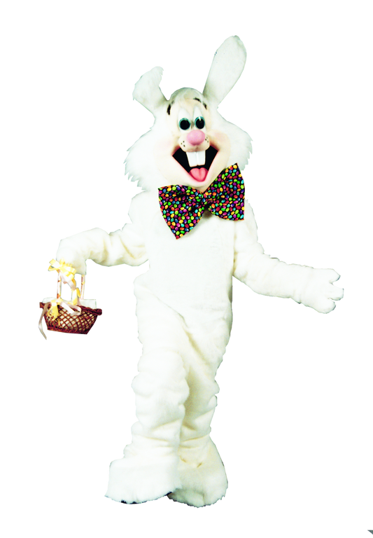 benny bunny mascot costume
