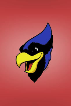 blue jay tattoos pack of 200