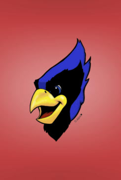 big blue jay tattoos pack of 200