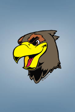 hawk tattoos pack of 200